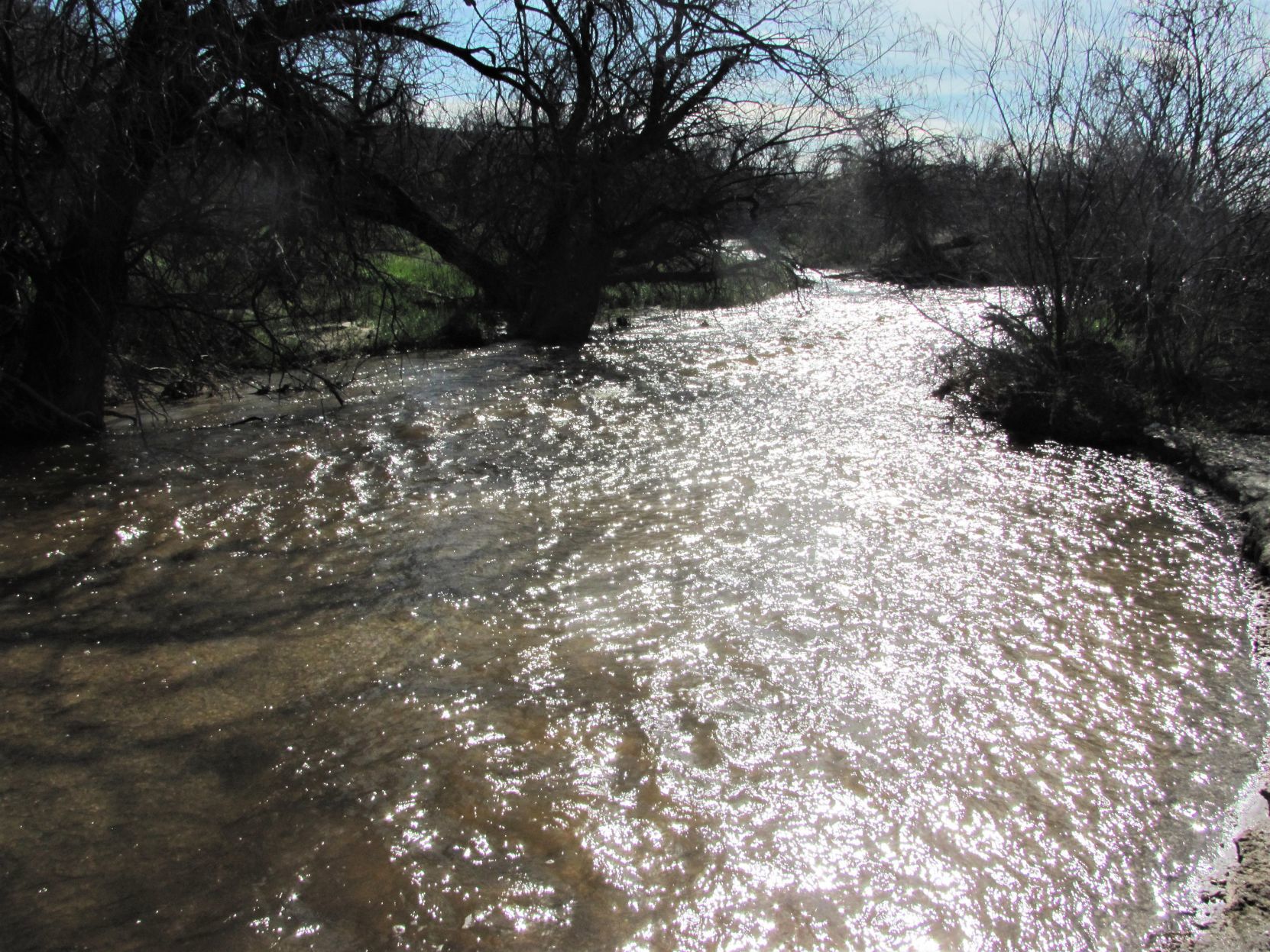 Catalina State Park